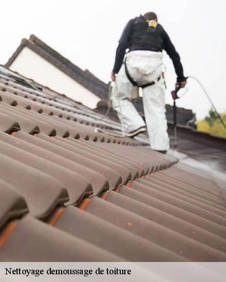 Nettoyage demoussage de toiture  les-aires-34600 Entreprise Sud facade
