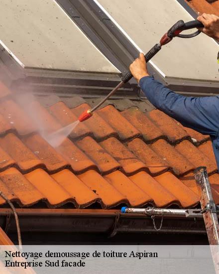 Nettoyage demoussage de toiture  aspiran-34800 Entreprise Sud facade