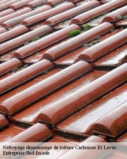 Nettoyage demoussage de toiture  carlencas-et-levas-34600 Entreprise Sud facade