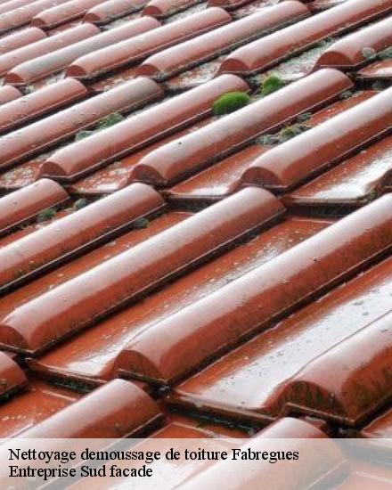 Nettoyage demoussage de toiture  fabregues-34690 Entreprise Sud facade