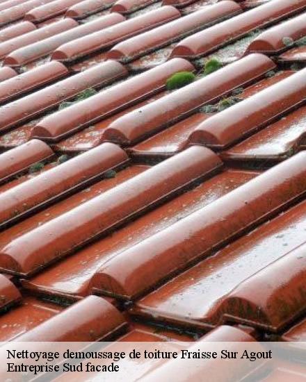 Nettoyage demoussage de toiture  fraisse-sur-agout-34330 Entreprise Sud facade