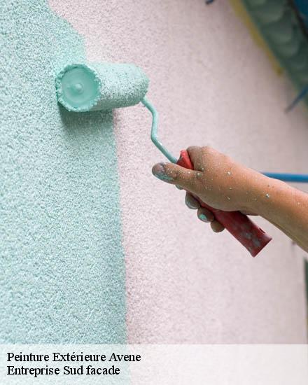 Peinture Extérieure  avene-34260 TP Couverture 34