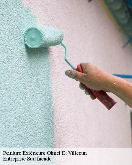Peinture Extérieure  olmet-et-villecun-34700 Mr.PISTER couverture 34