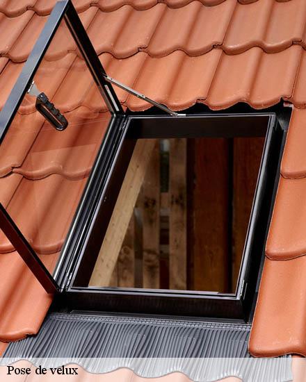 Pose de velux  moules-et-baucels-34190 Entreprise Sud facade