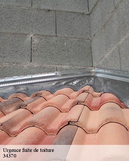 Urgence fuite de toiture  cazouls-les-beziers-34370 Entreprise Sud facade