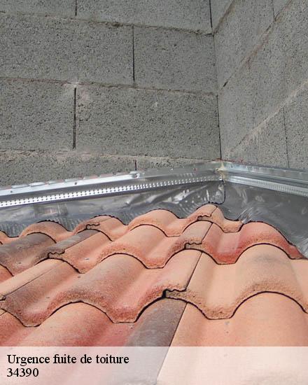 Urgence fuite de toiture  olargues-34390 Entreprise Sud facade