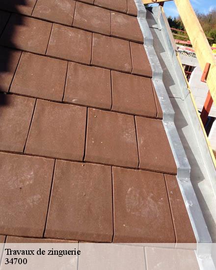 Travaux de zinguerie  pegairolles-de-l-escalett-34700 TP Couverture 34