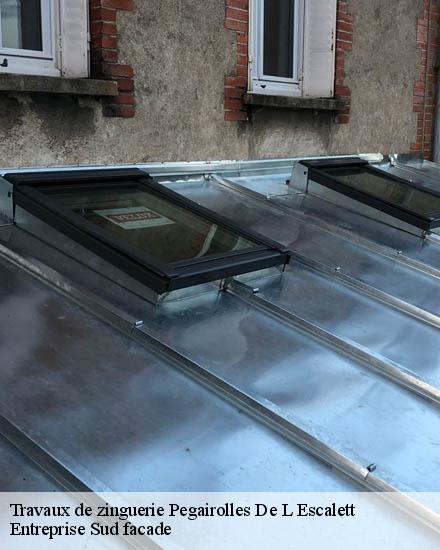Travaux de zinguerie  pegairolles-de-l-escalett-34700 TP Couverture 34