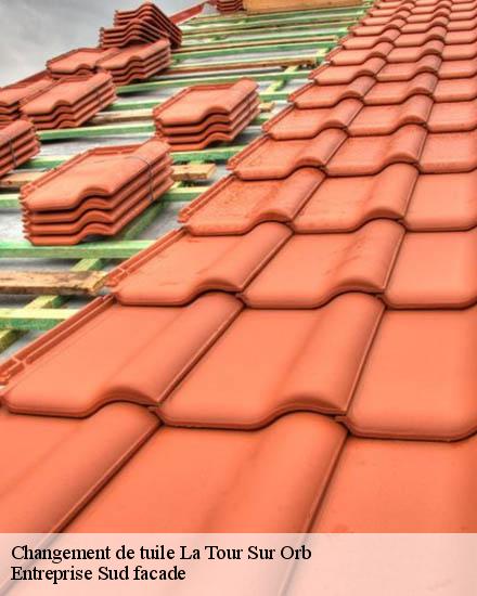 Changement de tuile  la-tour-sur-orb-34260 TP Couverture 34