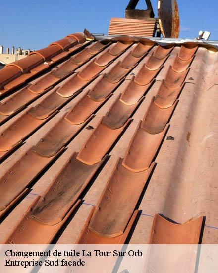 Changement de tuile  la-tour-sur-orb-34260 TP Couverture 34