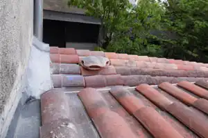 Recherche fuite de toiture 34 Hérault
